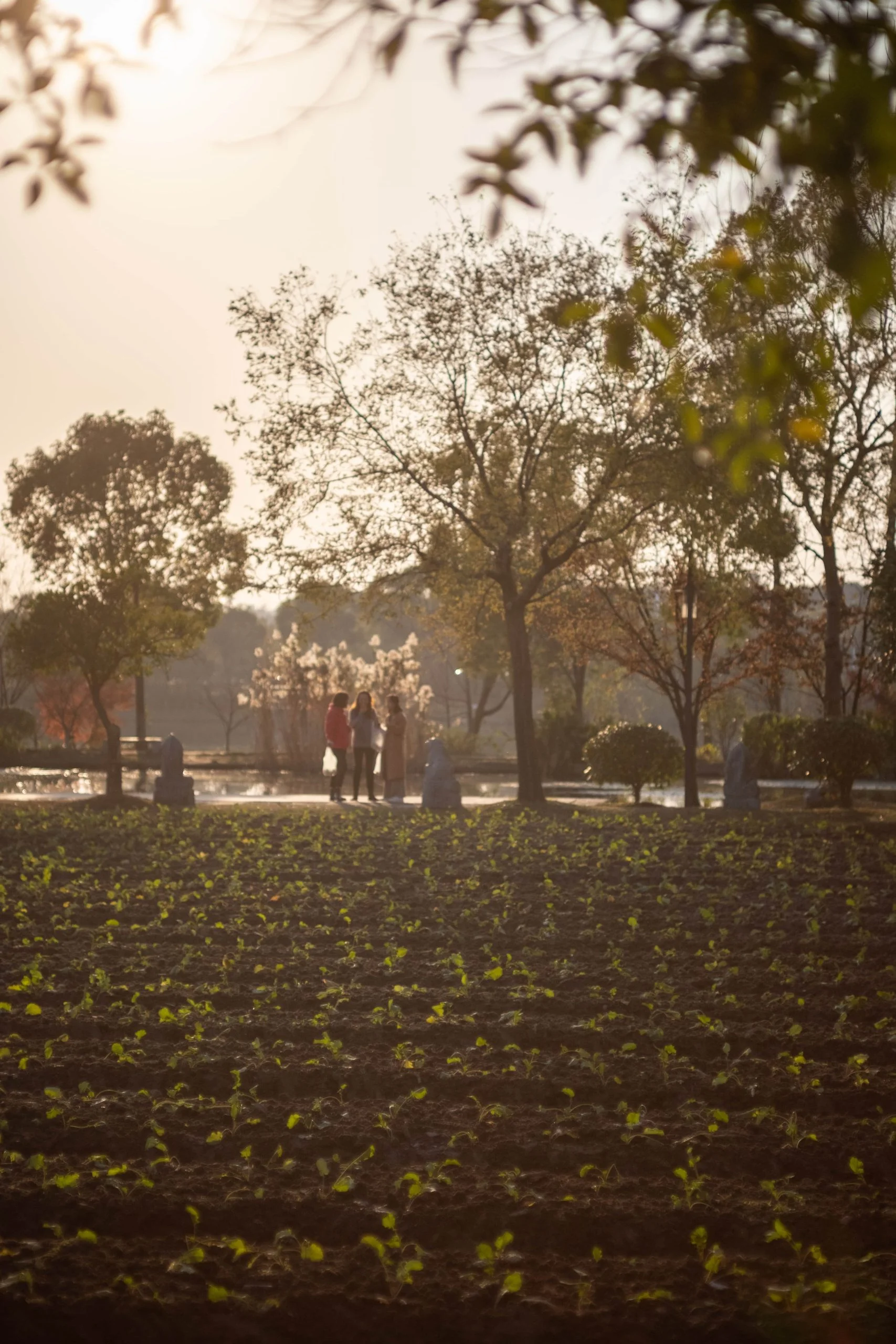 About Light - Personal Photography by Kresnikwang