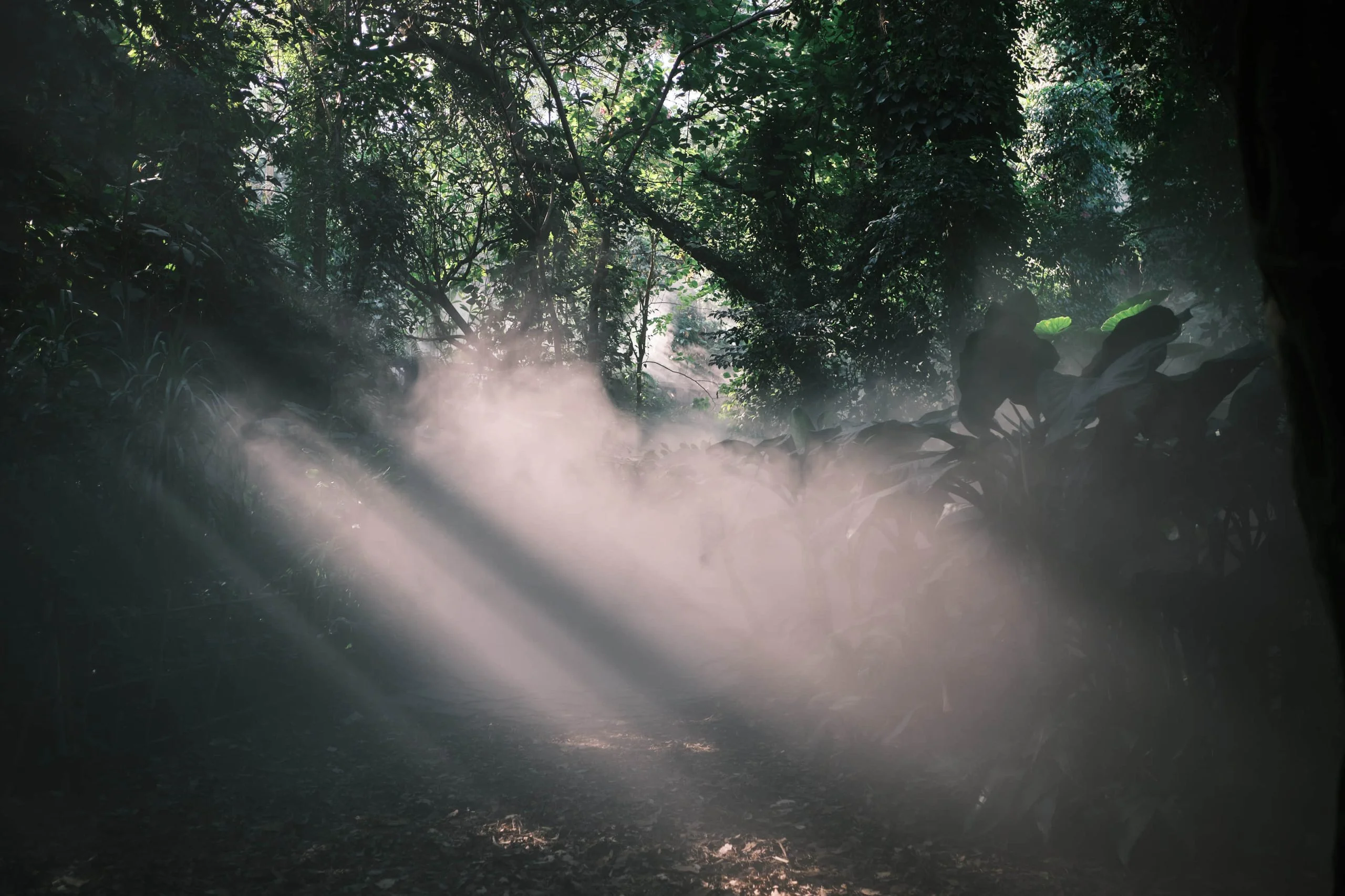 About Light - Personal Photography by Kresnikwang
